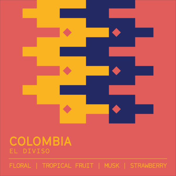Colombia El Diviso - Filter Roast